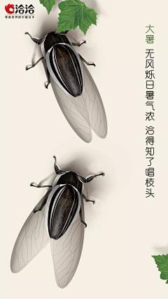 猜不透不猜透采集到创意