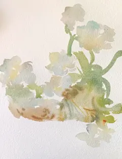 画水仙 - 小红书