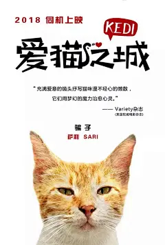 爱猫之城 Kedi 海报