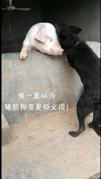 股市每日谈：沪乙己一震一荡 钱飞了_网易...