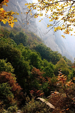 Kai1982采集到万山红遍，层林尽染的