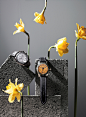 accessories Advertising  Hong Kong luxury photograp product shanghai still-life Stuff studio watch