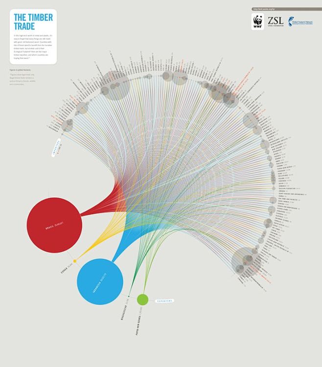infographic.: 
