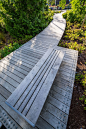 Elizabeth Caruthers Park by Hargreaves Associate