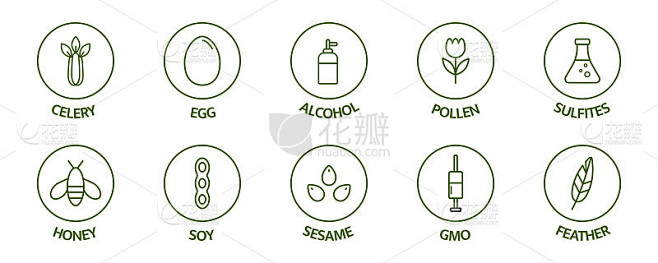 过敏原线图标集。过敏警告成分。大豆坚果芹菜、玉米、牛奶、蜂蜜香辣、糖醇、麸质芥末、转基因芝麻、乳糖鱼