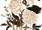 复古花卉花朵纹理无缝背景免抠PNG图案 AI矢量印刷设计素材 (2)