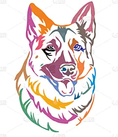 华丽的,狗,牧羊人,色彩鲜艳,注视镜头,两只动物,可爱的,纯种犬,摆拍,服从