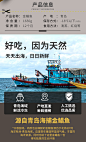 渔吻 【2份空运免邮】新鲜海捕金鲳鱼1100g2条袋装深海鱼冷冻平鱼鲳鱼生鲜鱼类 金昌鱼海鲜水产 金鲳鱼【图片 价格 品牌 报价】-京东