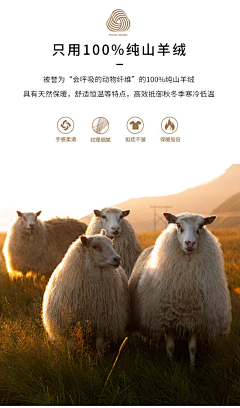 青果666采集到详情页