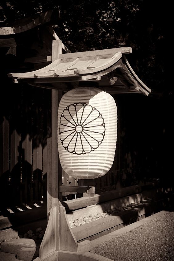 Japanese Lantern (Co...