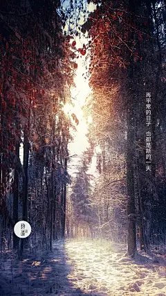 壁纸｜8张图温暖你整个冬天 : 愿有人与你过寒冬，有人问你粥可温。