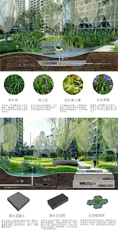 植草沟图片_海绵城市/ecosystem图片素材-花瓣网