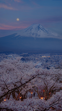 兰夕沫采集到景