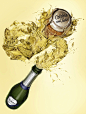 Aurora - Spakling Wine : An illustration we did to help promote a sparkling wine.