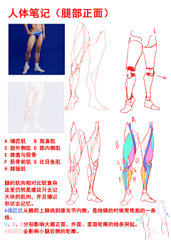 DIda咔嚓采集到教程