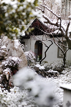 烤肉酱=v=采集到雪-场景气氛-氛围图