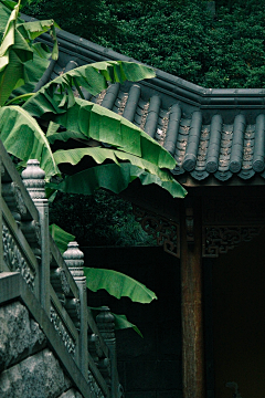 柿子呐采集到古风场景