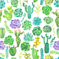 手绘素描景观仙人掌植物盆栽包装插图绿色 AI矢量设计元素  (1)