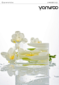 香水拍摄 场景图 产品摄影 Product Photography 电商拍摄 purfume 化妆品 护肤品拍摄 skin care cosmetics
