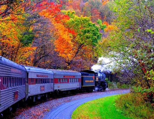 美丽的火车，加拿大
更喜欢树