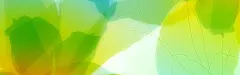 亮光,质感,光线,大气,炫酷,绿色,绚丽,海报banner,纹理图库,png图片,网,图片素材,背景素材,104676@北坤人素材