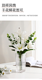 北欧玻璃花瓶透明创意简约客厅网红ins轻奢水养鲜花干花插花摆件-tmall.com天猫
