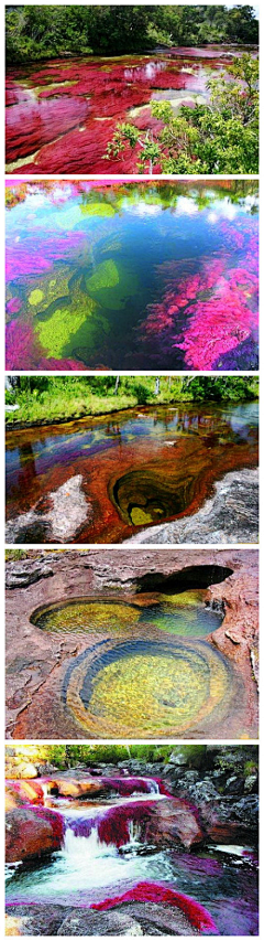 julytang采集到旅行