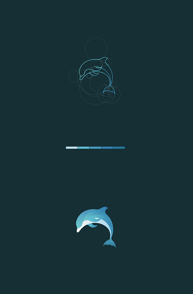 Wild Lines : Animal ...