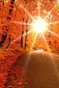 Winding roads + autumn sunsets. <3