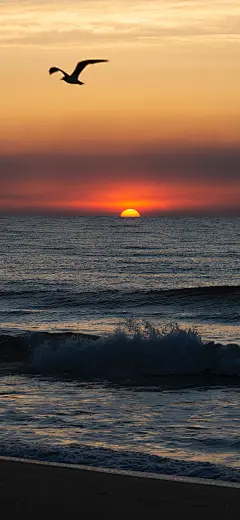 夕阳 日落 手机壁纸