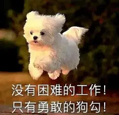 搞笑表情包 - 高清图片，堆糖，美图壁纸兴趣社区