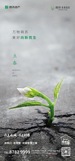 ℡柒忆鱼ᝰ采集到立春