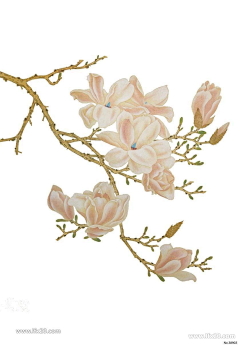 灬阿菈蕾灬采集到山水涧·鸟语·花香