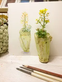 木壳人的家-插画家园—爱插画·爱生活