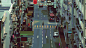 jeffri-honesta-basquiat