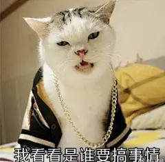 你手机里最搞笑的表情包是哪个？（请关闭水印）？ - 知乎 _表情包采下来 #率叶插件，让花瓣网更好用#