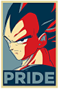 Trunks, buy this for your dad, and he will love you.