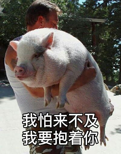 217#表情包# #搞笑# #创意##手...