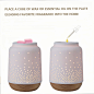 Amazon.com: SIAXOLO Ceramic Wax Melt Warmer for Scented Wax, Candle Wax Warmer for Home Office, Wax Burner Fragrance Wax Warmer as Gifts for Mom Women : Home & Kitchen