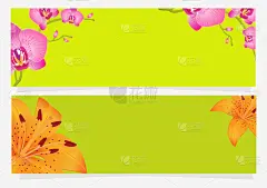 百合花,明信片,兰花,可爱的,事件,贺卡,清新,传单,装饰物,植物