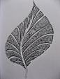 zentangle leaf