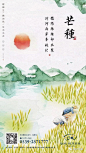 18  绿城·桃李春风