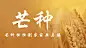 芒种节气祝福问候麦穗横版海报