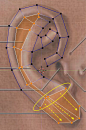 CGArena : Modeling Ears in 3D耳朵建模/布线