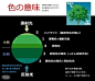 增山修观察