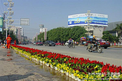 Gangbanban4采集到七. 赶回开远过春节（续