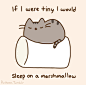 Pusheen the cat : =＾● ⋏ ●＾= Meow! I am Pusheen the cat. This is my blog. (more...)