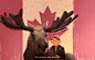 moving to canada ! by Zedig on DeviantArt