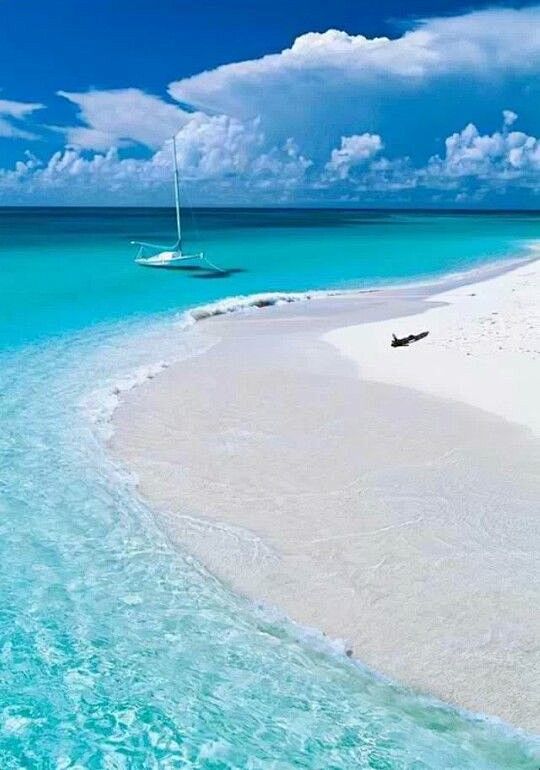 白色沙滩和碧蓝的海水....