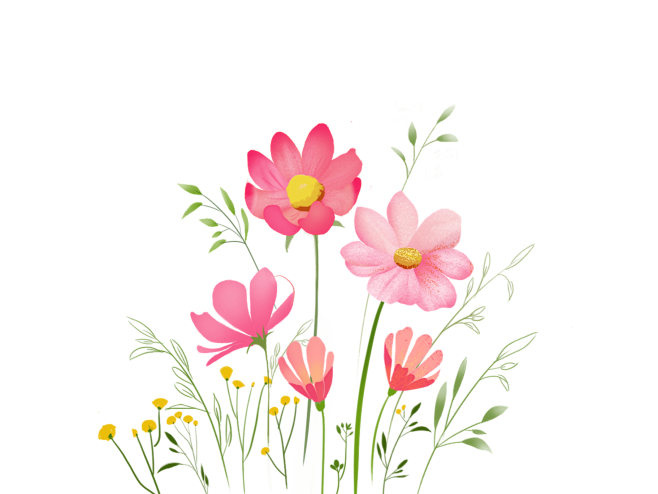 花朵完结PNG